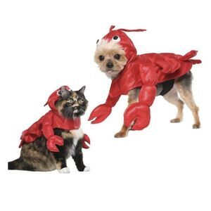 Vibrant Life Lobster Dog Costume Sz S